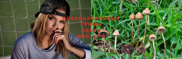 гашиш Алексин